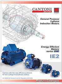 Каталог Трехфазные электродвигатели IE2 серия 2SIE Cantoni