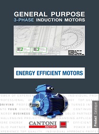 Каталог Трехфазные электродвигатели IE3 Cantoni