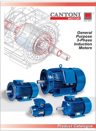 Каталог Однофазные электродвигатели Cantoni