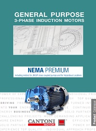 Каталог Электродвигатели NEMA Premium Cantoni