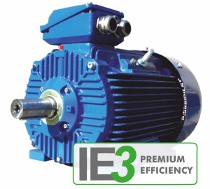 Электродвигатели IE3 Premium Efficiency Cantoni