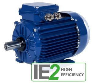 Электродвигатели IE2 High Efficiency  Cantoni 