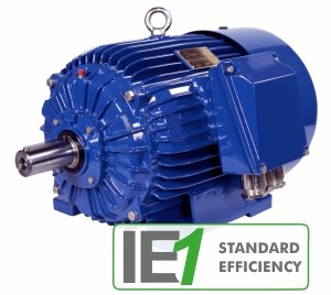 Электродвигатели IE2 Standard Efficiency Cantoni
