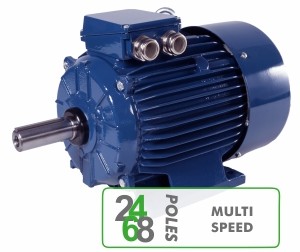 Электродвигатели Multi-Speed general purpose Cantoni
